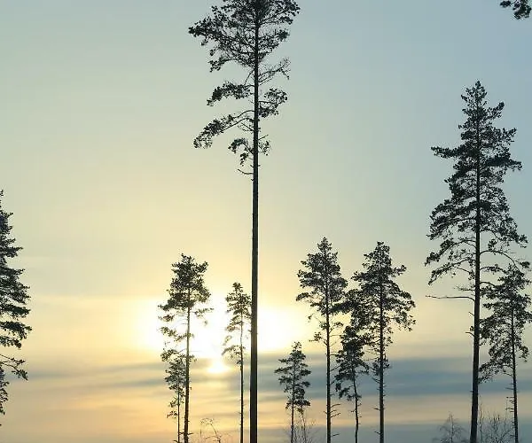 假日公园 Hirsimoekki Ja Makuuaitta Karijoki